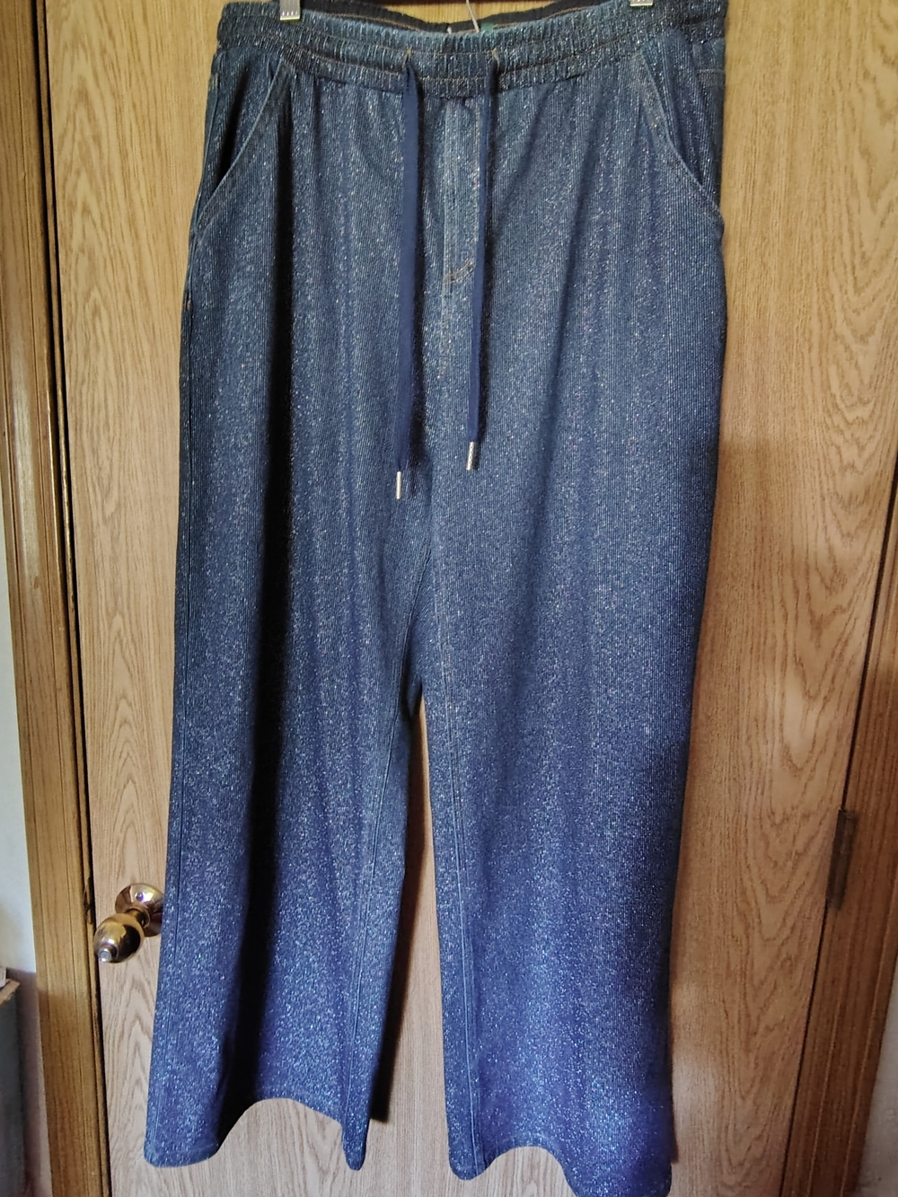 L Halara Flex Low Rise Drawstring Wide Leg Silver Shine Casual Sweatpants Jeans